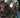 Living Corpse Hexx Files #1 Cvr B Neil Vokes Var MR