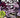 Son of Monster Mash HC