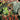 Money Shot the F* Offs #1 of 5 Cvr A Garth Graham MR