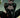 Catwoman #91 Cvr B Marcio Takara Card Stock Var Batman Bad Seeds