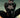 Catwoman #91 Cvr B Marcio Takara Card Stock Var Batman Bad Seeds