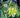 Green Lantern #39 Cvr A Scott Godlewski