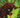 Spawn #379 Cvr A Aaron Campbell