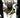 Spawn Curse of Sherlee Johnson TP Vol 01