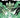 Gi Joe TP Vol 04 Direct Market Exclusive Tom Reilly Cvr
