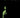 Book of Nosferatu #1 (Of 4) Cvr G Inc 1:20 Todor Hristov Glow in the Dark Var