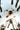 Fire and Ice Darkwolf #4 Cvr H Inc 1:10 Cary Nord Virgin Var