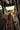 Firefly #2 Cvr H Robert Quinn Foil Virgin Var