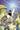 Space Ghost vs the Herculoids #2 Cvr I Inc 1:10 Tom Raney Virgin Var