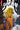 Thundercats Cheetara #2 Cvr B John Amor Var