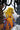 Thundercats Cheetara #2 Cvr G John Amor Ltd Virgin Var