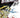 Strength & Ash #4 Cvr A Stefano Cardoselli Francesca Perillo