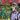 Revolutionaries TP Vol 04 Spain