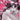 Mirka Andolfos Sweet Paprika Black White & Pink Halloween Special #1 (Of 2) Cvr B Rachta Lin Var