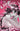Mirka Andolfos Sweet Paprika Black White & Pink Halloween Special #1 (Of 2) Cvr B Rachta Lin Var