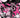 Mirka Andolfos Sweet Paprika Black White & Pink Halloween Special #1 (Of 2) Cvr C Marco Albiero Var