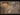 Hawkmoon the Mad God #1 (Of 2) Cvr D Map Wraparound Cardstock Var