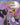 Pokemon Scarlet & Violet TP Vol 06