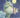 Studio Ghibli My Neighbor Totoro Journal TP Ocarina Under the Moon