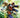 Ben 10 #6 Cvr H Duncan Rouleau Ltd Virgin Var