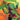 Dorc #3 4Th Printing Glow In The Dorc comic book product image