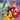 Pre-order graphic novel "Angry Birds the Haunting of Hog House" by Rocketship Entertainment, featuring colorful bird characters on the cover.