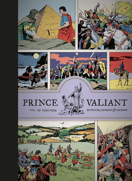 Prince Valiant Hc Vol 29 1993-1994 (Mr)