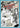 J Scott Campbell Danger Girl Artists Edition hardcover graphic novel from Image Comics, pre-order cover art