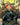 Cover art for Absolute Batman #17 comic book by DC Comics featuring Batman in dynamic action pose.