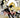 RWBY: The Official Manga, Vol. 2 - State of Comics