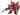 SD Gundam EX-Standard #013 Sinanju