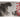 UVS Games Reign of Kaiju Godzilla 1954 playmat with detailed Godzilla design on a colorful background.