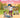 The Baby-Sitters Club®: Kristy and the Walking Disaster - State of Comics