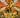 Wings of Fire #12: The Hive Queen - State of Comics