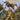 Tarzan Beyond #5 Cvr A Alessio