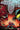 Amazing Spider-Man #27 Daniele Di Nicuolo Var [Ds] - State of Comics