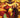 Marvel Sorcerer Supreme #5 comic book featuring mystical cover art and main characters, vibrant illustration from the Marvel comic series.