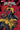 Marvel Venom #259 pre-order comic book featuring dynamic cover art with Venom character in a fierce pose.