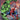 Spider-Man/hulk Fire and Brimstone #1 Marco Checchetto Foil Variant