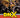 Dnx #4