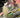 Jean Grey #1 Cvr E Peach Momoko Momo-Tone Variant