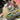 Jean Grey #1 Cvr E Peach Momoko Momo-Tone Variant