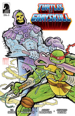 Masters Of The Universe/Teenage Mutant Ninja Turtles Turtles Of Grayskull #4 Cvr B Michel Fiffe