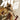 Kill All Immortals III #3 CVR B Marco Mastrazzo