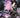 Magic the Gathering Untold Stories-Liliana #1 Cvr A Nataliia Rerekina