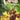 Canto the Clockwork Chronicles #1 Cvr C 1:25 Lukas Ketner
