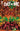 Cult-De-Sac #5 Cover A by Fico Ossio, Ignition Press pre-order comic book cover