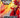 Bakugan Armored Elite Booster Pack - State of Comics