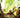Godzilla Kai-Sei Era comic book #10 Cover A by Prasetya, published by IDW Publishing, featuring Godzilla artwork.