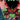 Godzilla [Kai-Sei Era] #17 Variant B Catalan comic cover by IDW Publishing